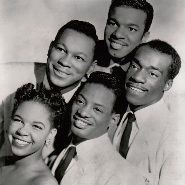 The Platters's artist profile image