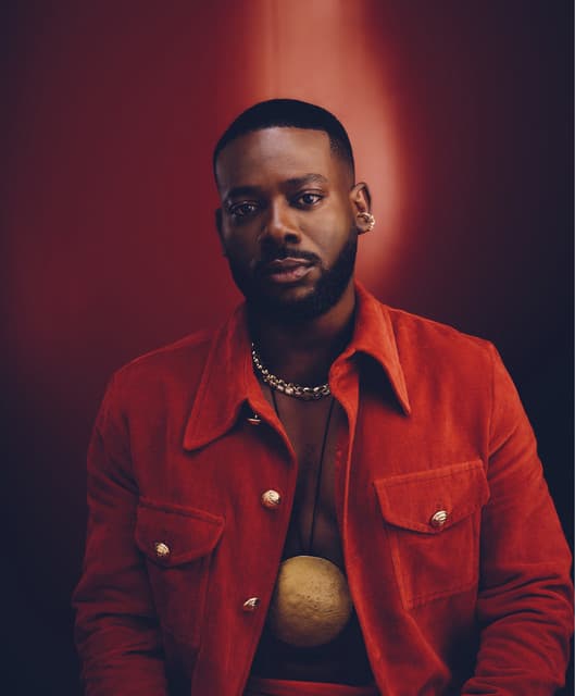 Adekunle Gold artist profile