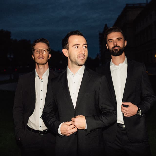 Bolandi Trio artist profile image