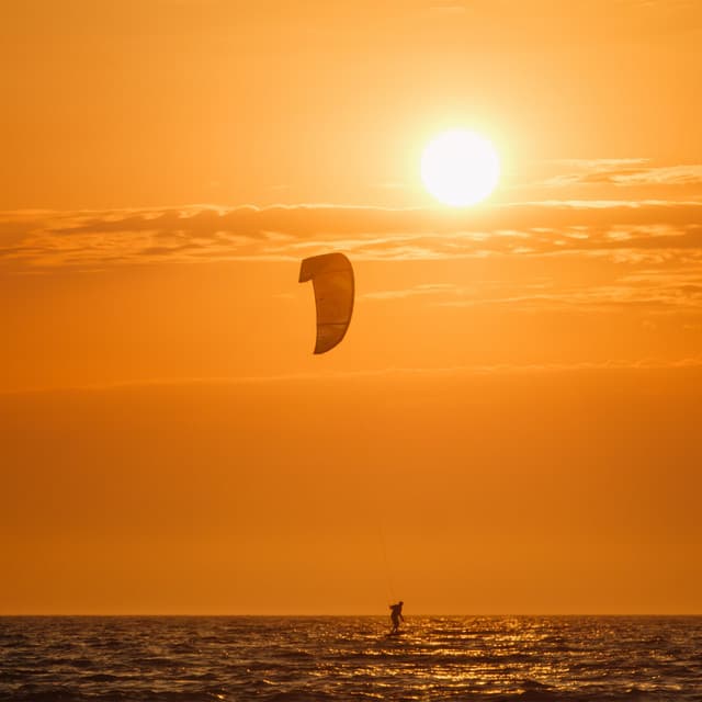 Windchaser artist profile image