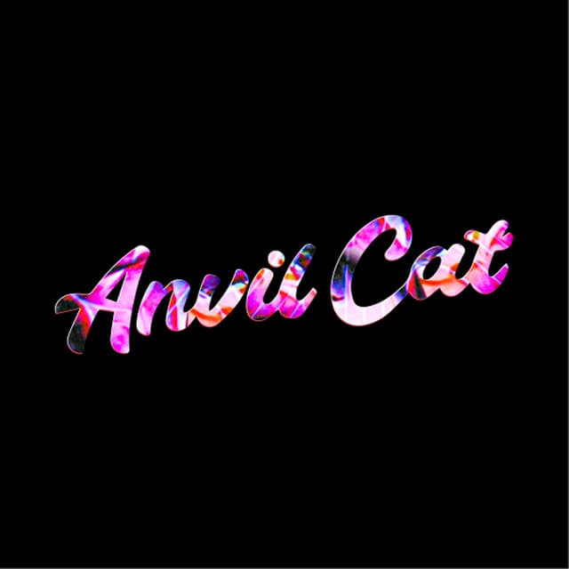 Anvil Cat artist profile image
