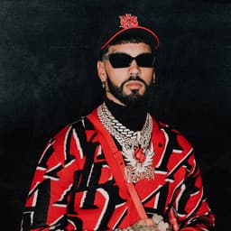 Anuel AA's artist profile image