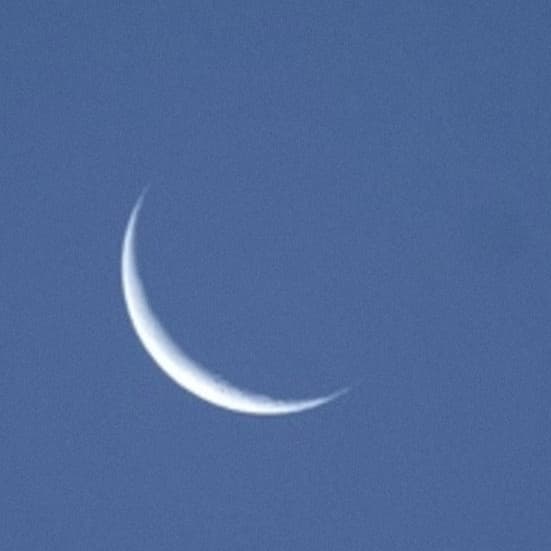 Sleepermane artist profile image