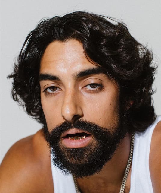 DragonWulf artist profile image