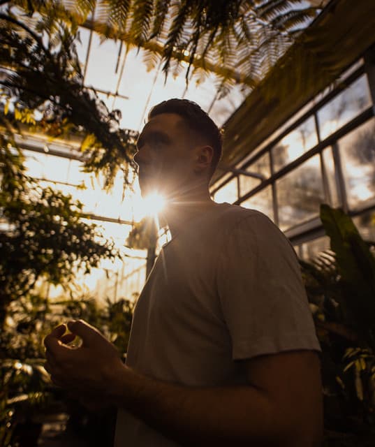 Hodge artist profile image