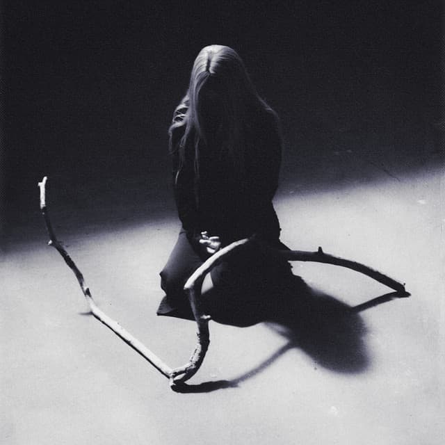 Anna von Hausswolff artist profile