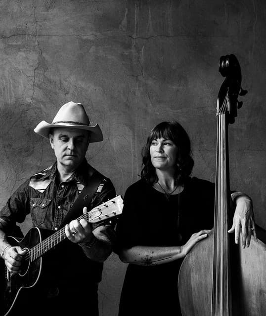 Wild Ponies artist profile image