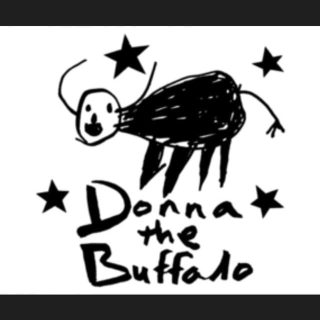 Donna The Buffalo artist profile image