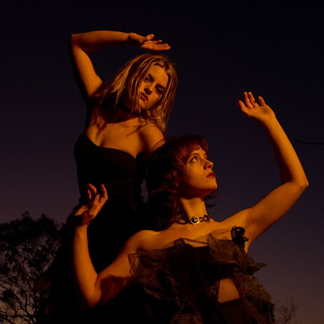 Charm of Finches artist profile image