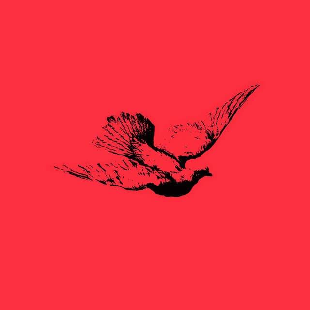 Honors artist profile image