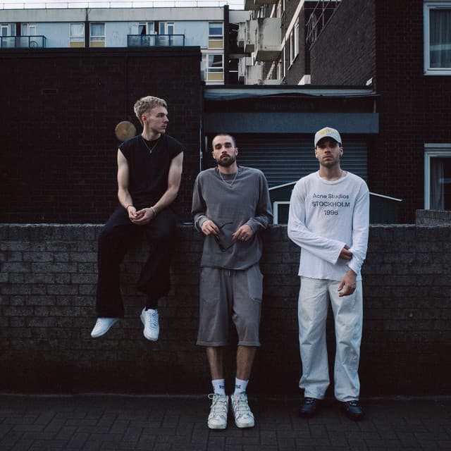 255 artist profile image