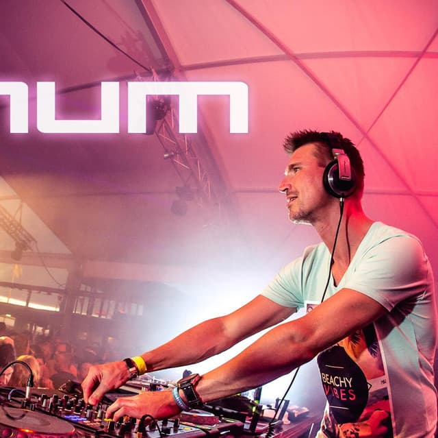 Signum artist profile