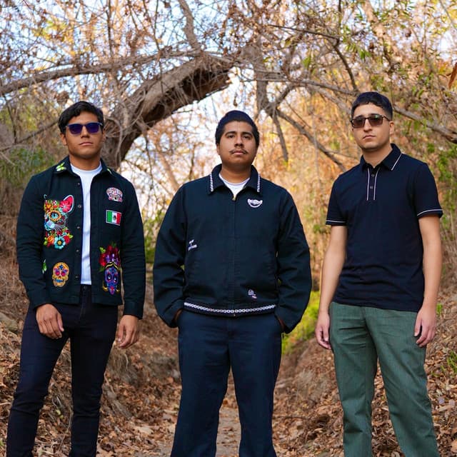 Surely Tempo's artist profile image