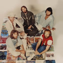 The Beach Boys's artist profile image