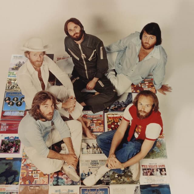 The Beach Boys's artist profile image