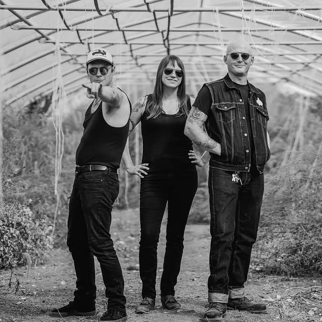 The Hooten Hallers's artist profile image
