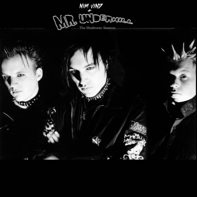 Nim Vind & Mr.Underhill artist profile image