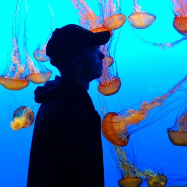 DeFalco artist profile image