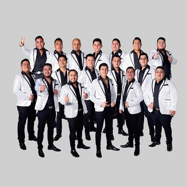 La Poderosa Banda San Juan artist profile image