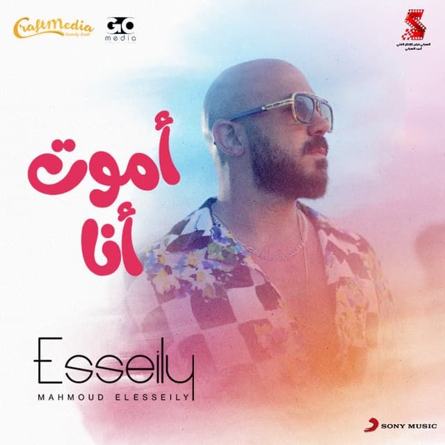 Mahmoud El Esseily profile
