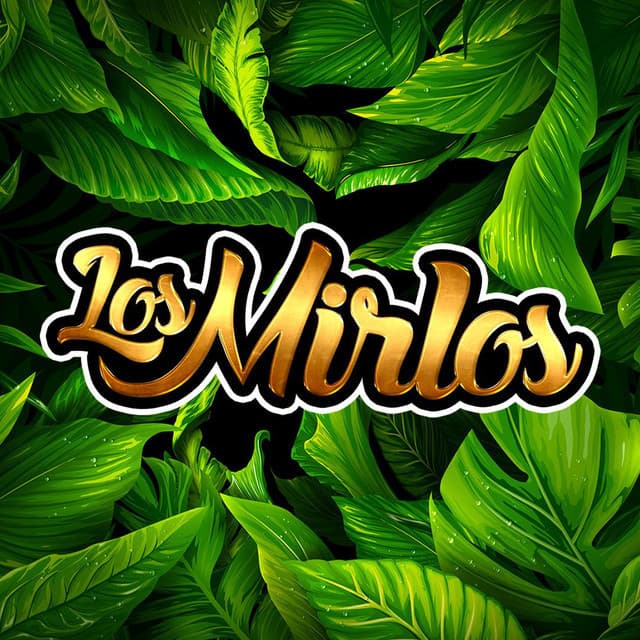 Los Mirlos artist profile image