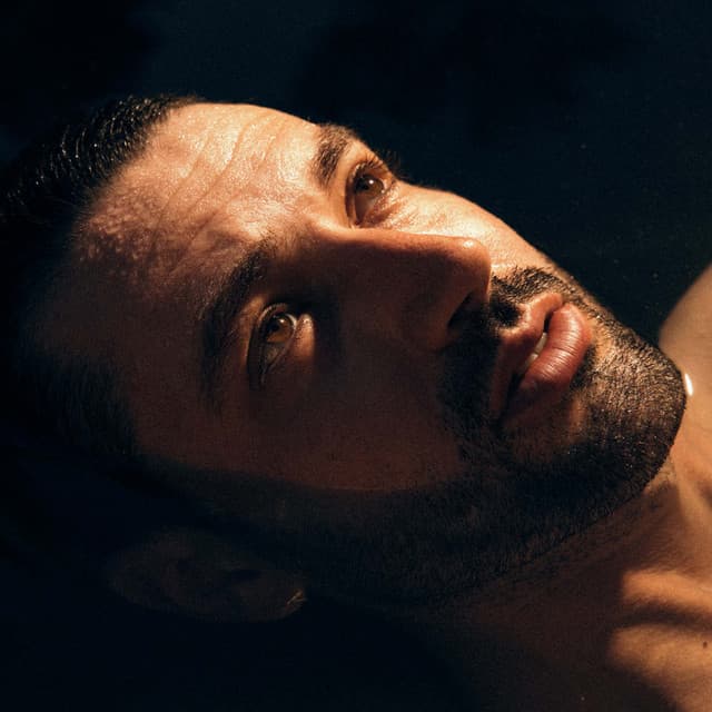 S. Carey's artist profile image