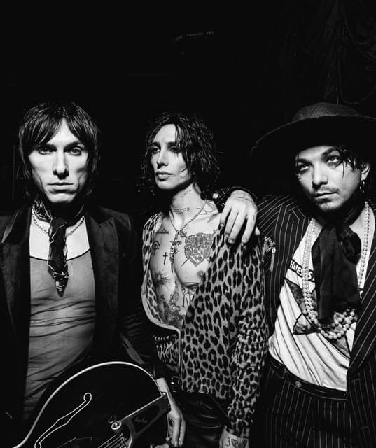 Palaye Royale artist profile