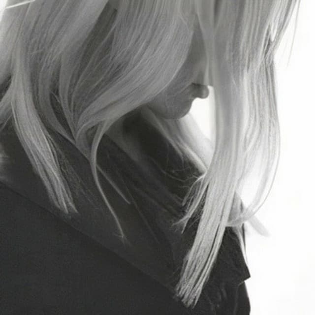 hornja artist profile image