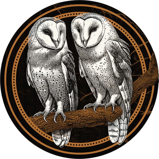 Thompson Square artist profile image