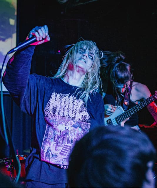 Anita Velveeta artist profile image