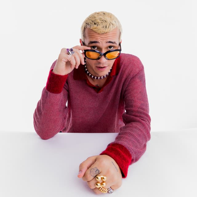 Leo Pol artist profile image