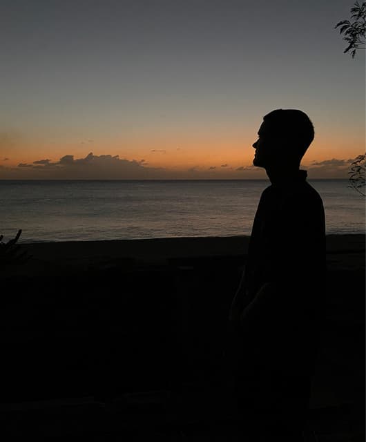 Banks artist profile image