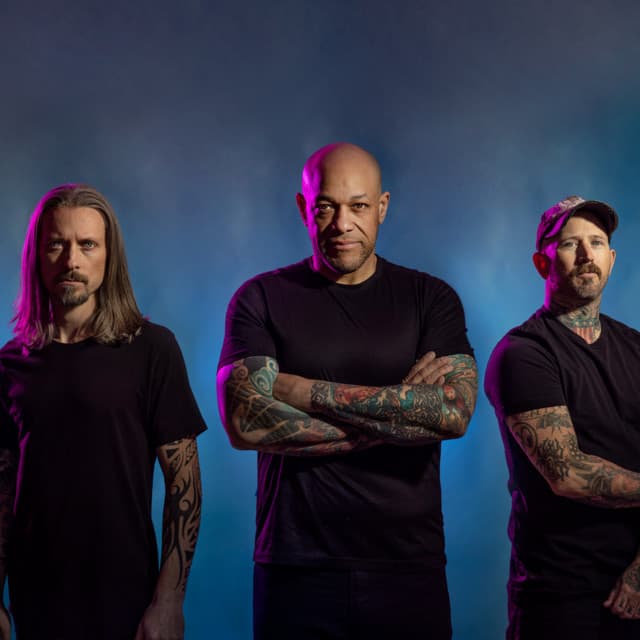Light The Torch's artist profile image