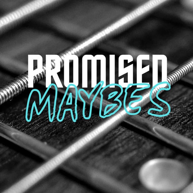Promised Maybes artist profile image