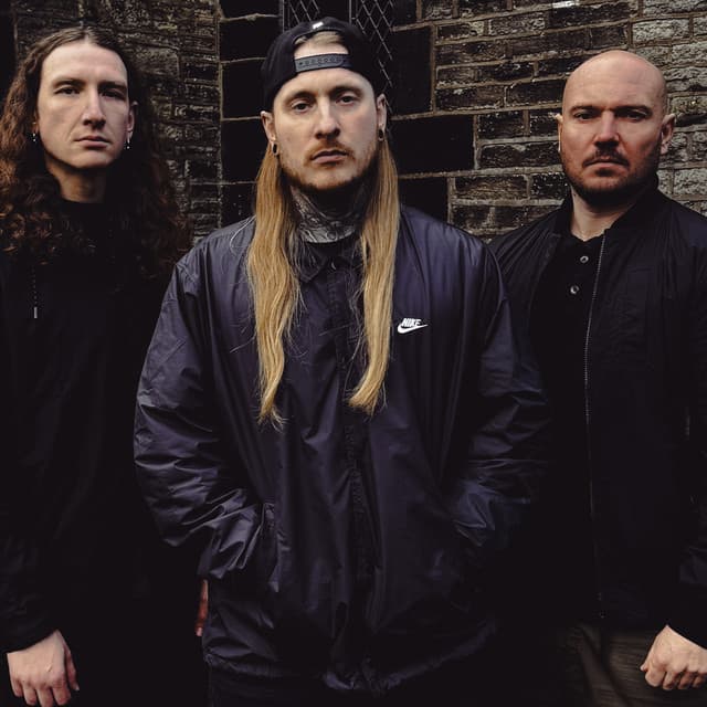Ingested artist profile