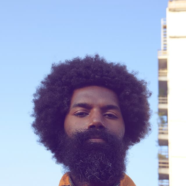 Damu The Fudgemunk artist profile image