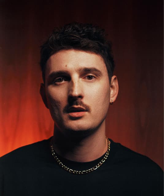 Dawid Podsiadło artist profile image