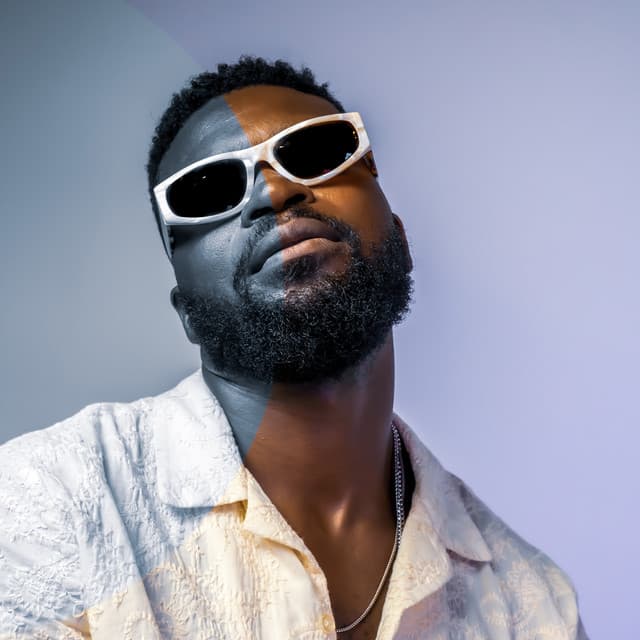 Tomi Tribe's artist profile image