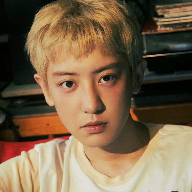 CHANYEOL artist profile image