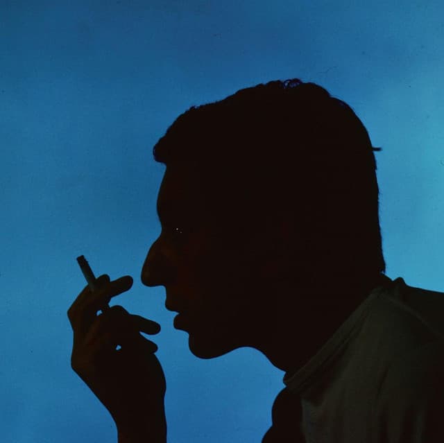 Serge Gainsbourg artist profile image