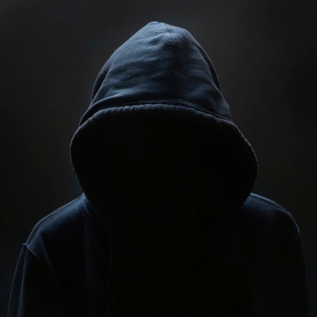 Thieves artist profile