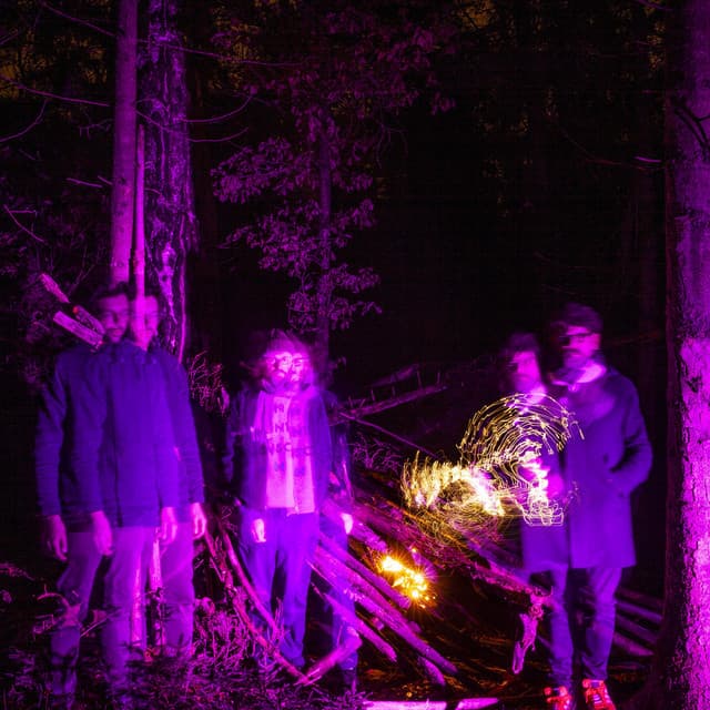 The Notwist artist profile image