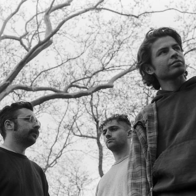 Horse Jumper of Love's artist profile image