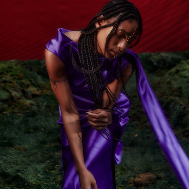 WILLOW artist profile image