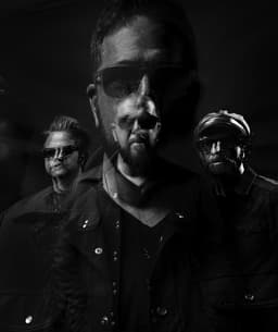 The Cold Stares's artist profile image