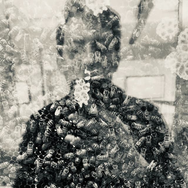 Simon Diamond artist profile image