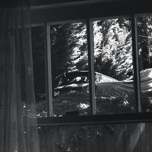 Please Wait artist profile image