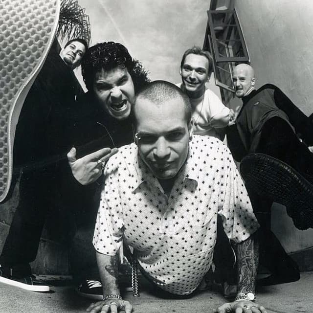 Snot artist profile image