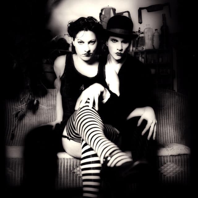 The Dresden Dolls artist profile image