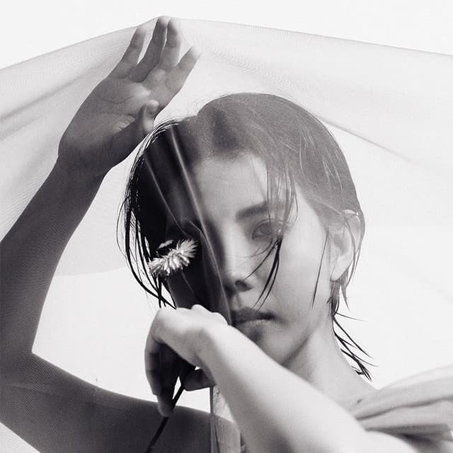 Vũ Cát Tường artist profile image
